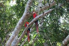 Costa Rica