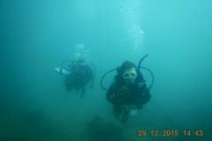 Tauchen in Taganga