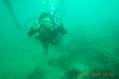 Tauchen in Taganga