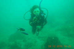 Tauchen in Taganga