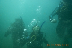 Tauchen in Taganga