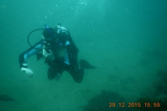 Tauchen in Taganga