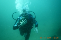 Tauchen in Taganga