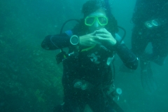 Tauchen in Taganga