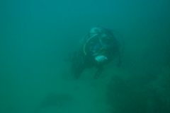 Tauchen in Taganga