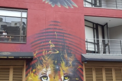 Bogota