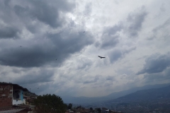 Medellin