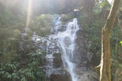 Minca
