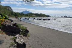 Isla Ometepe