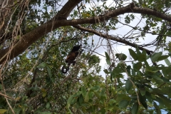 Isla Ometepe