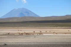 El Misti