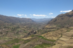 Colca Cañón