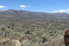 Colca Cañón