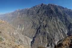 Colca Cañón