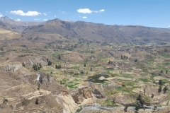 Colca Cañón