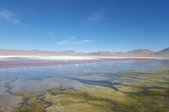 Salar de Uyuni