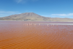 Salar de Uyuni