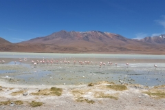 Salar de Uyuni