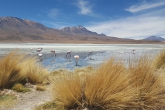 Salar de Uyuni