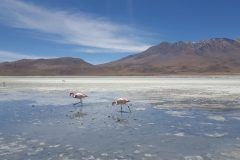 Salar de Uyuni