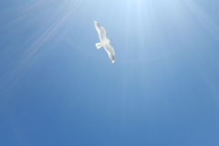 Salar de Uyuni