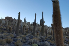 Salar de Uyuni