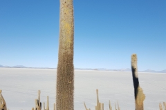 Salar de Uyuni