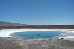Atacama Wüste