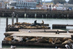 a_san_francisco17